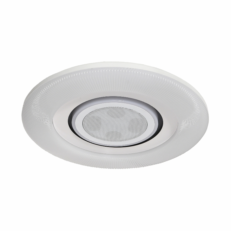 OTL/客廳燈/臥室燈/愛目音響系列