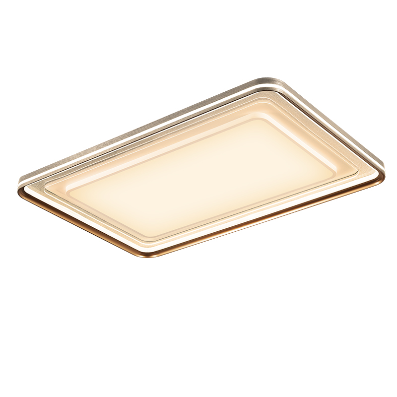 臥室燈，客廳燈，吸頂燈